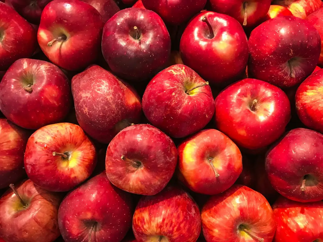 Apples wholesale supplier Riyadh bulk fresh produce imported by carton Al Kharj KSA