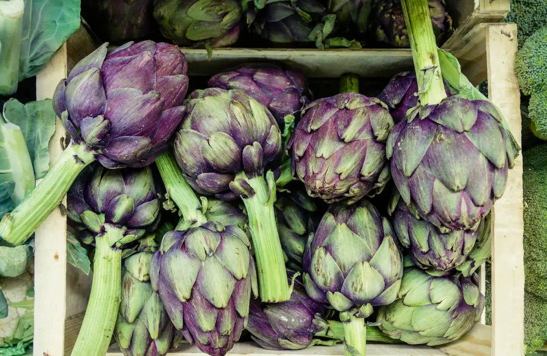 Artichoke wholesale vegetable supplier Riyadh bulk fresh produce by carton Al Kharj KSA