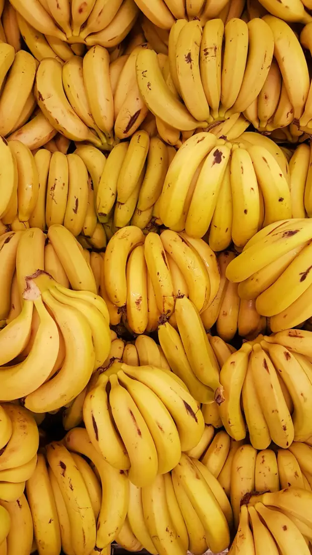 Bananas wholesale supplier Riyadh bulk fresh produce imported by carton Al Kharj KSA