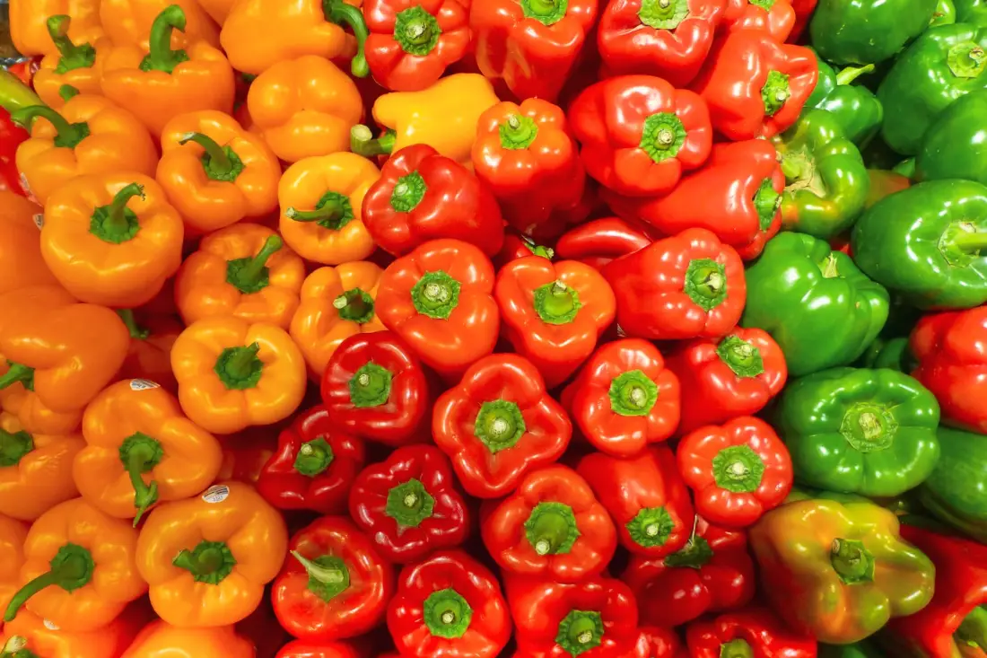 Bell Peppers (Capsicum) wholesale vegetable supplier Riyadh bulk fresh produce by carton Al Kharj KSA