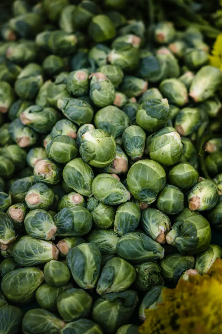 Brussels Sprouts wholesale vegetable supplier Riyadh bulk fresh produce by carton Al Kharj KSA