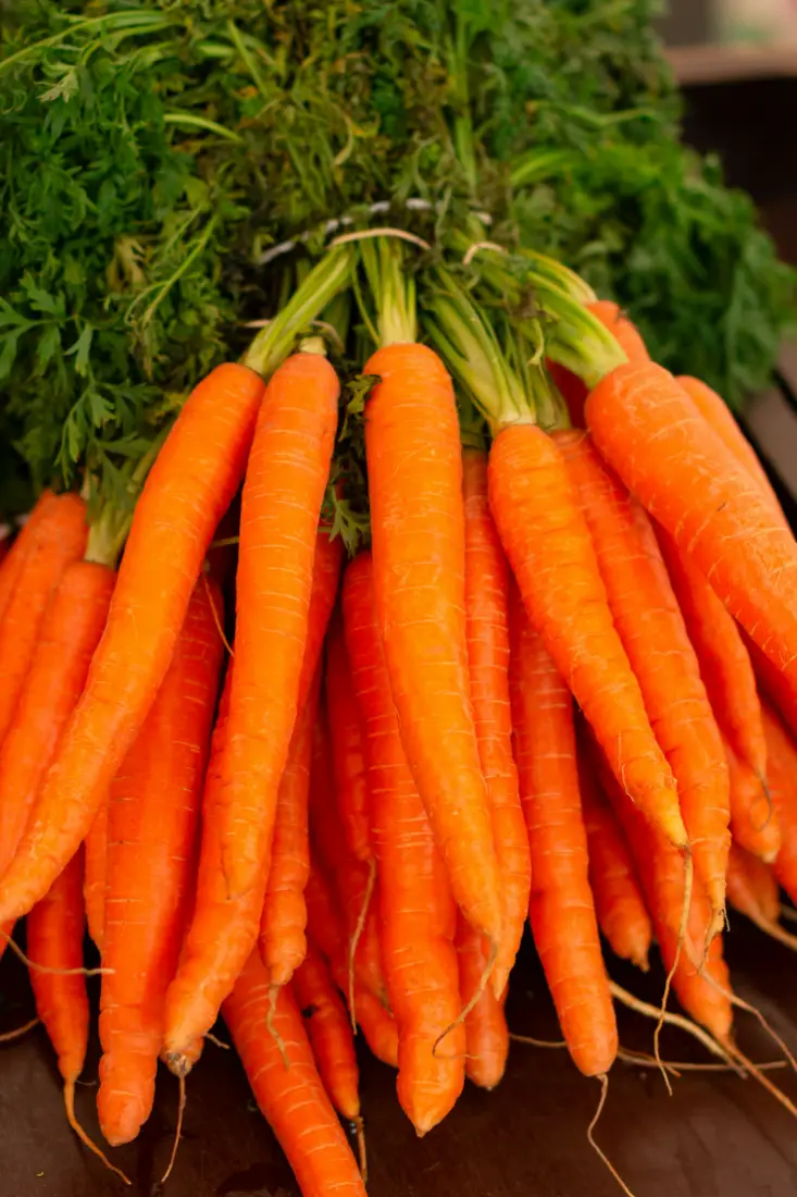 Carrots wholesale vegetable supplier Riyadh bulk fresh produce by carton Al Kharj KSA