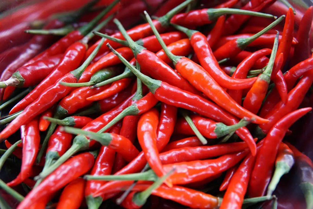 Chili & Hot Peppers wholesale vegetable supplier Riyadh bulk fresh produce by carton Al Kharj KSA