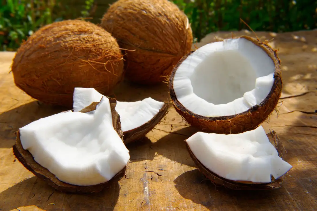 Fresh Coconut wholesale supplier Riyadh bulk fresh produce imported by carton Al Kharj KSA
