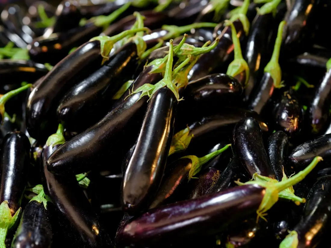 Eggplant (Aubergine) wholesale vegetable supplier Riyadh bulk fresh produce by carton Al Kharj KSA