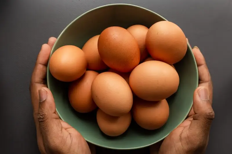 Fresh eggs wholesale supplier Riyadh bulk poultry eggs free range egg distributor