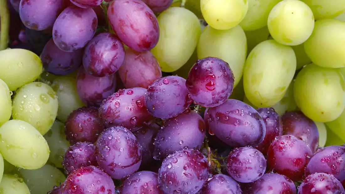 Grapes wholesale supplier Riyadh bulk fresh produce imported by carton Al Kharj KSA