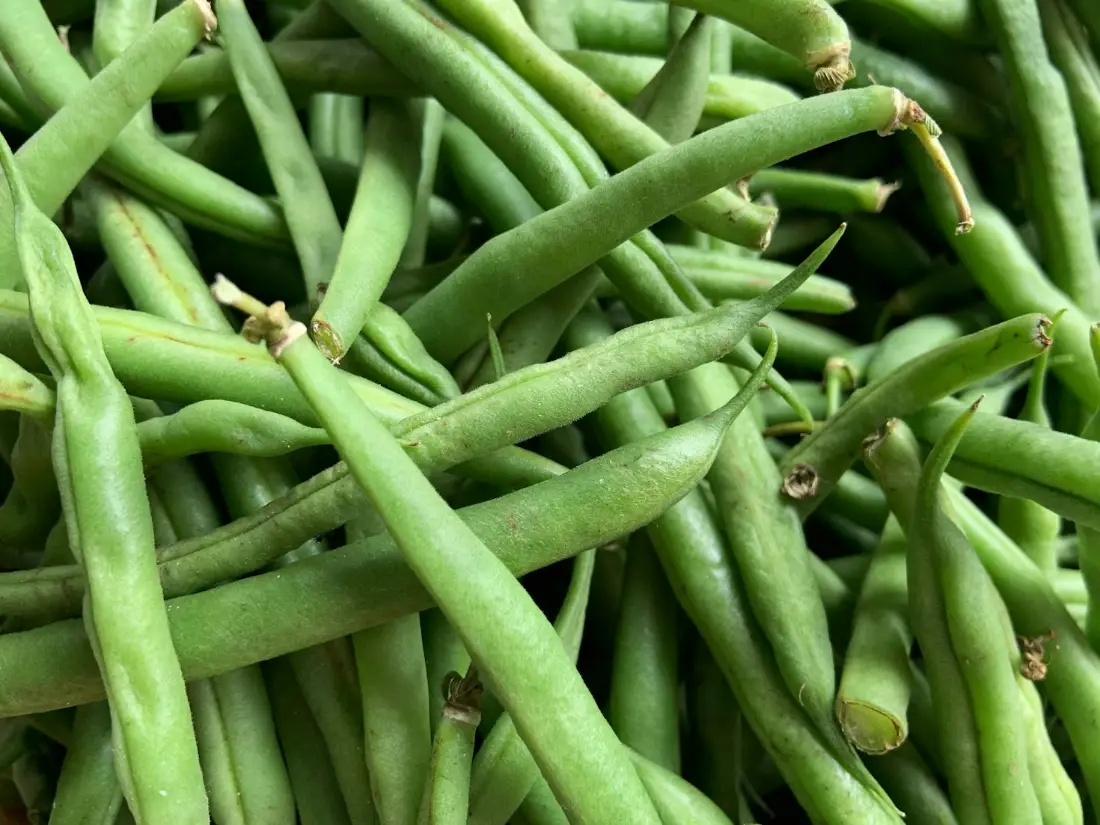 Green Beans wholesale vegetable supplier Riyadh bulk fresh produce by carton Al Kharj KSA