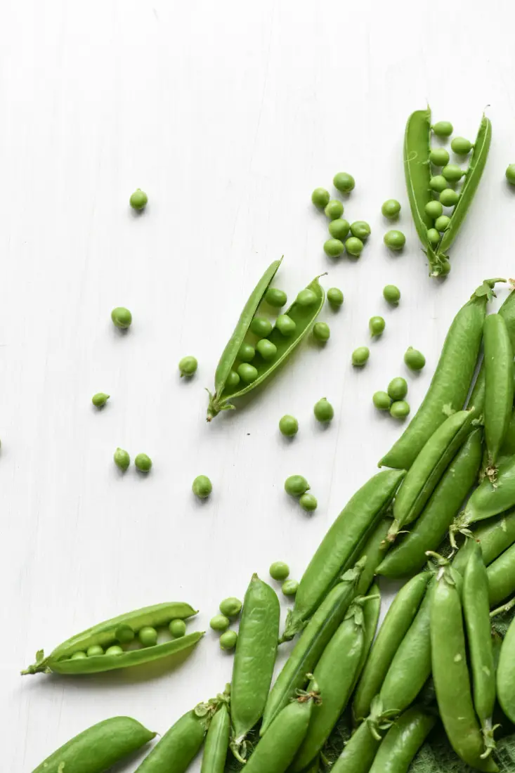 Green Peas wholesale vegetable supplier Riyadh bulk fresh produce by carton Al Kharj KSA