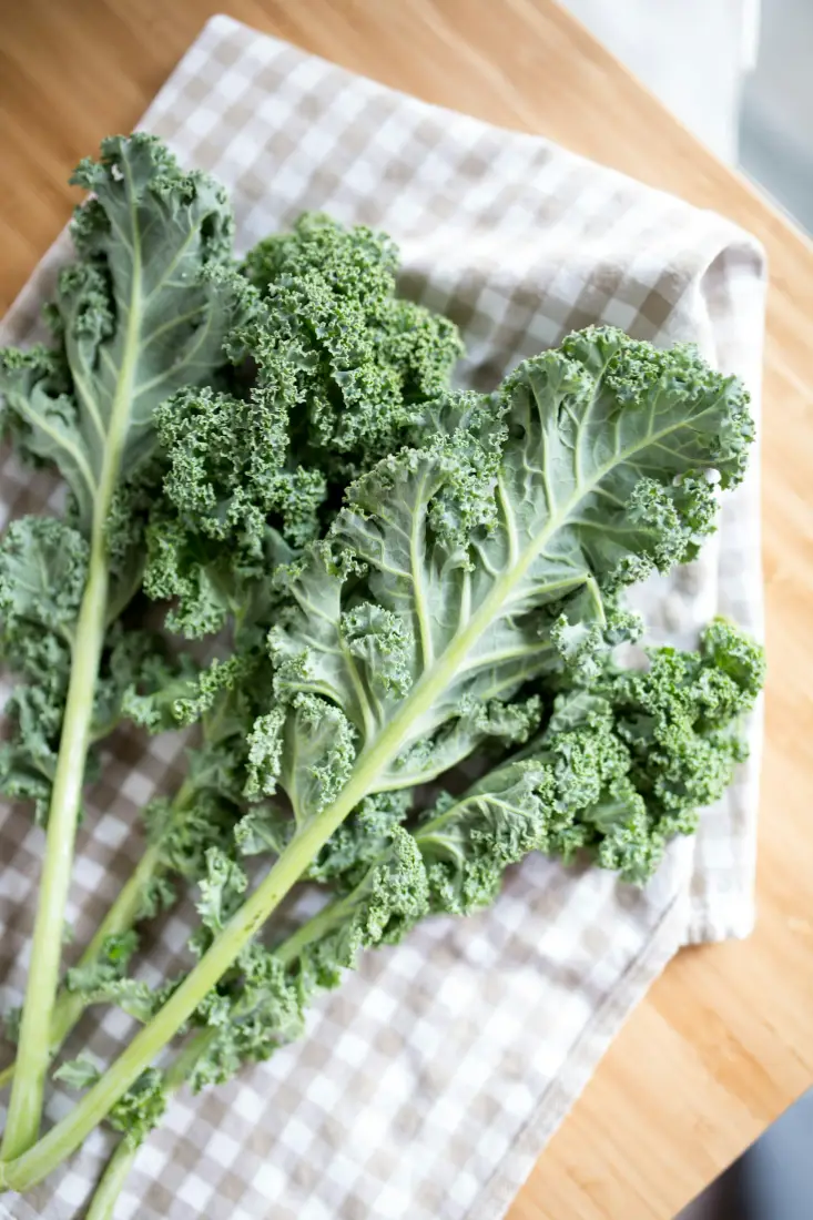 Kale wholesale vegetable supplier Riyadh bulk fresh produce by carton Al Kharj KSA