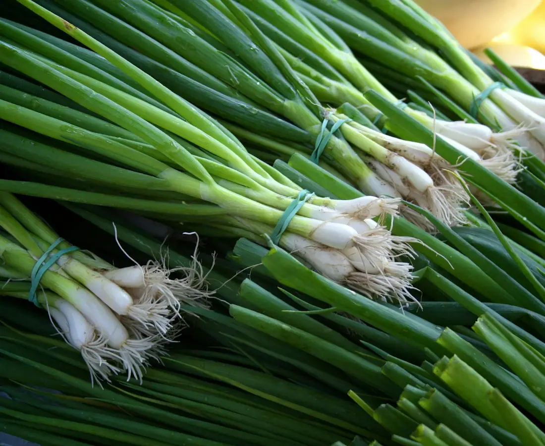 Leek wholesale vegetable supplier Riyadh bulk fresh produce by carton Al Kharj KSA