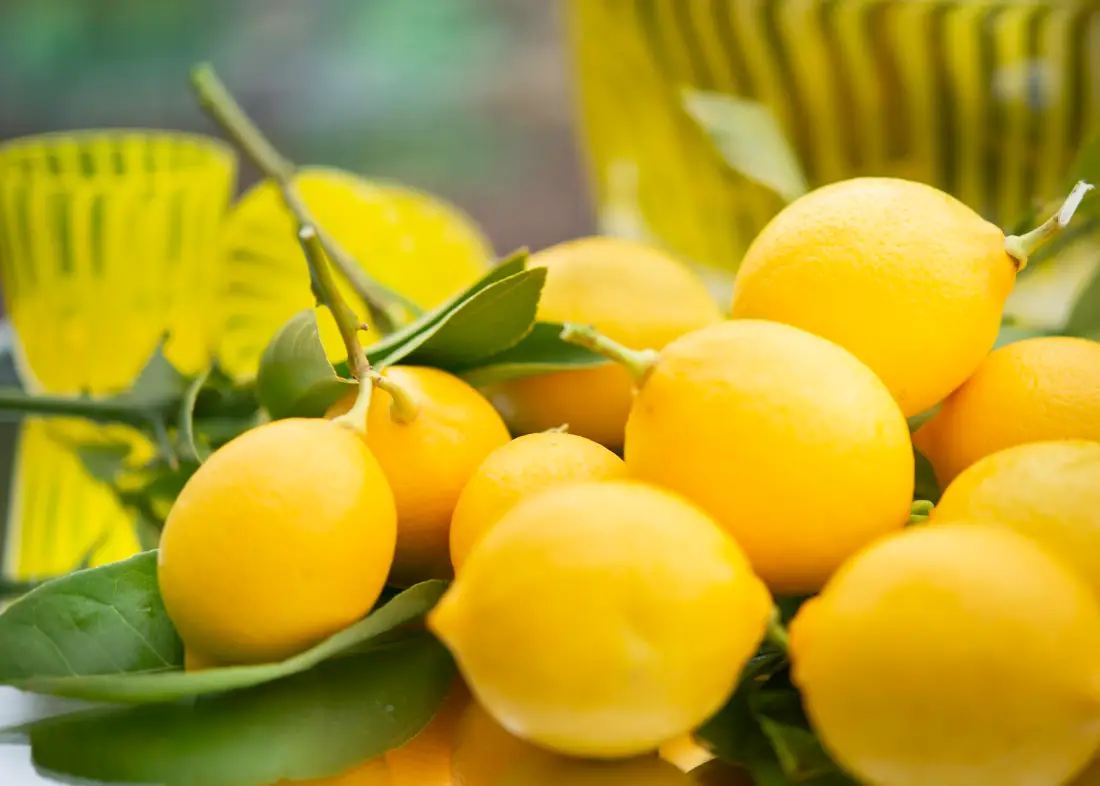 Lemons wholesale supplier Riyadh bulk fresh produce imported by carton Al Kharj KSA