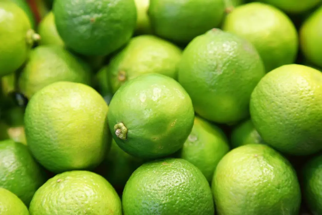 Limes wholesale supplier Riyadh bulk fresh produce imported by carton Al Kharj KSA