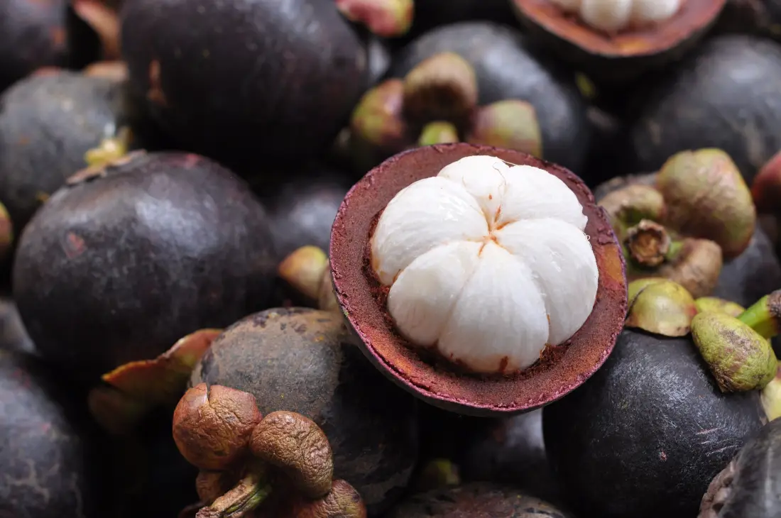 Mangosteen wholesale supplier Riyadh bulk fresh produce imported by carton Al Kharj KSA