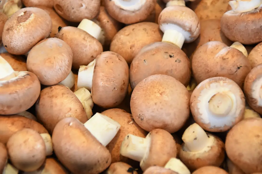 Mushrooms wholesale vegetable supplier Riyadh bulk fresh produce by carton Al Kharj KSA
