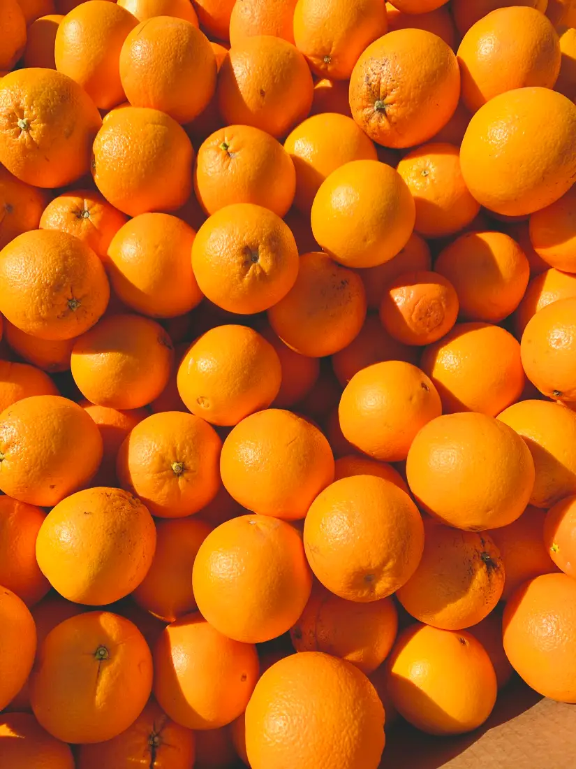 Oranges wholesale supplier Riyadh bulk fresh produce imported by carton Al Kharj KSA