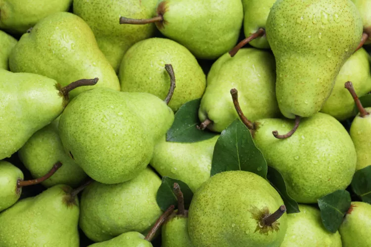 Pear wholesale supplier Riyadh bulk fresh produce imported by carton Al Kharj KSA