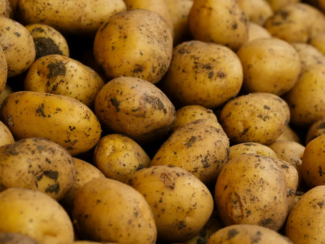 Potatoes wholesale vegetable supplier Riyadh bulk fresh produce by carton Al Kharj KSA