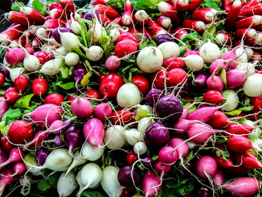 Radish wholesale vegetable supplier Riyadh bulk fresh produce by carton Al Kharj KSA