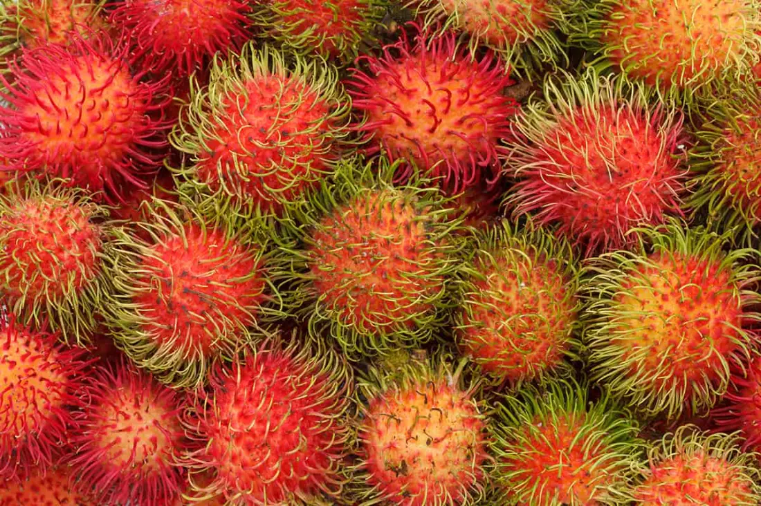 Rambutan wholesale supplier Riyadh bulk fresh produce imported by carton Al Kharj KSA