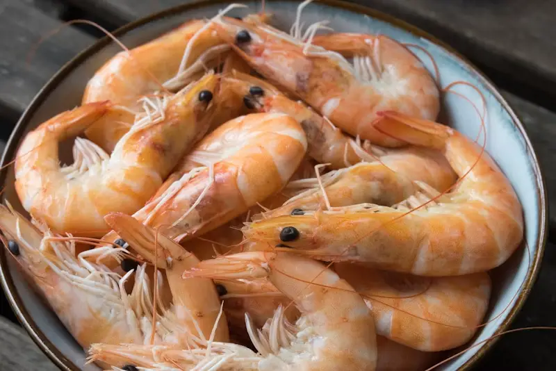 Frozen shrimp and prawns wholesale supplier Riyadh bulk IQF jumbo tiger prawns Al Kharj KSA