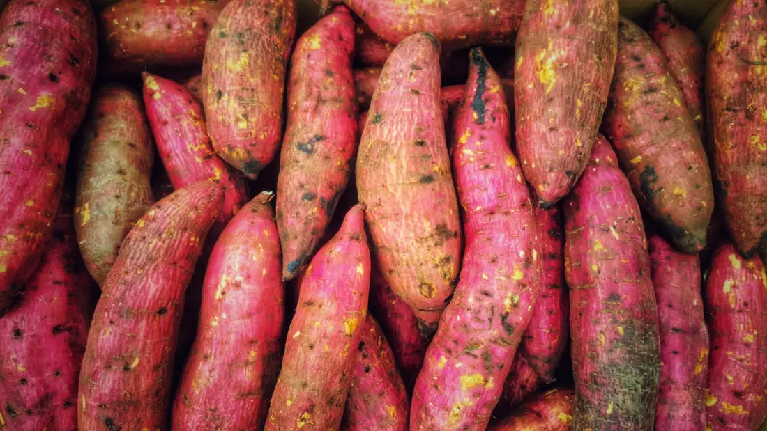 Sweet Potato wholesale vegetable supplier Riyadh bulk fresh produce by carton Al Kharj KSA