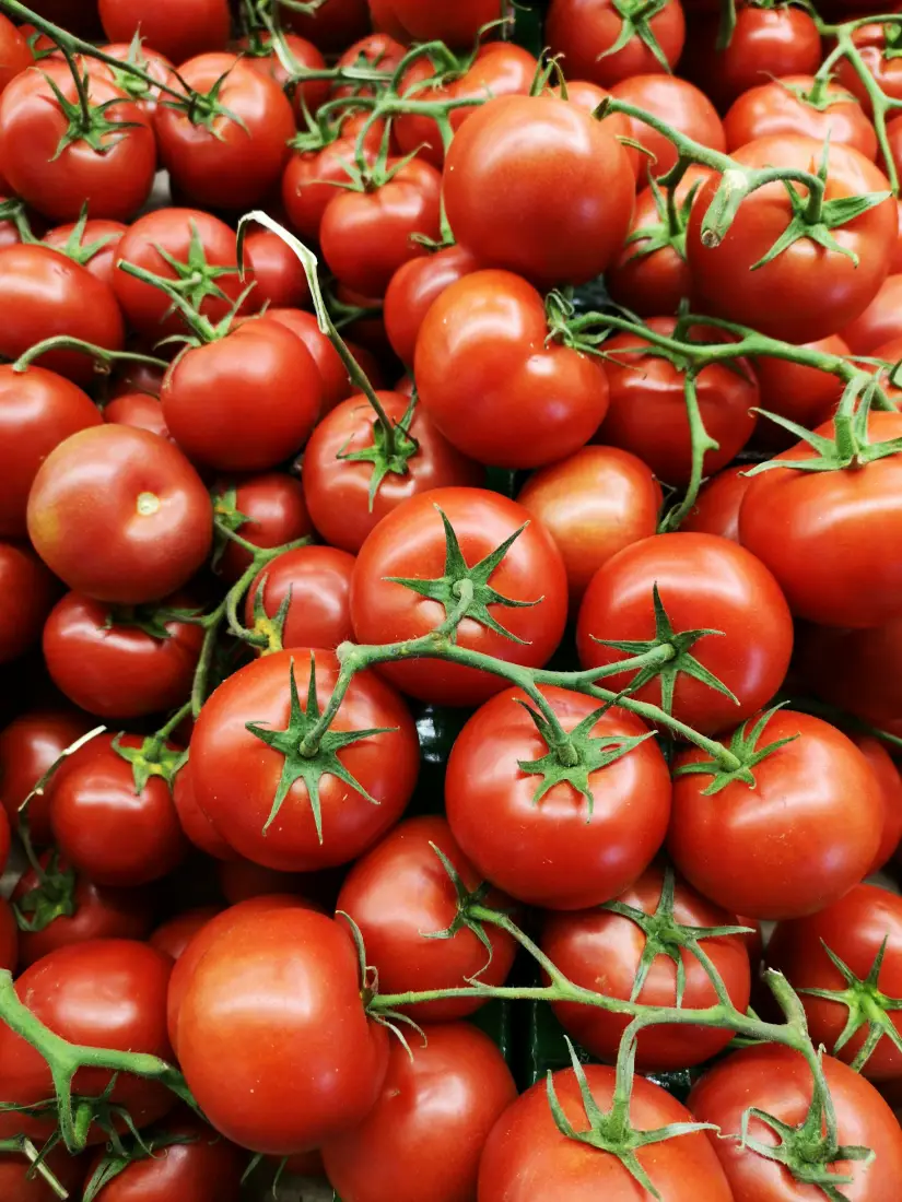Tomatoes wholesale vegetable supplier Riyadh bulk fresh produce by carton Al Kharj KSA